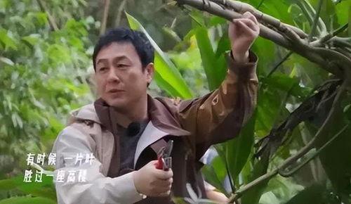 张颂文爆料娱乐圈视频大全,视频大全大揭秘