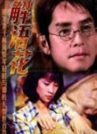 解语花 在线观看,穿越时空的浪漫传奇  第1张