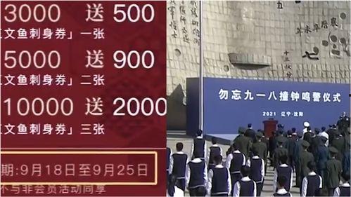 沈阳网友爆料新闻,惊现神秘事件，真相令人震惊！